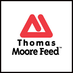 Feeds-Thomas-Moore-1